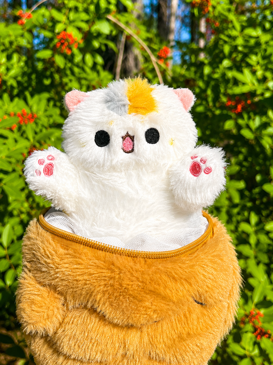 The Kitty Cat