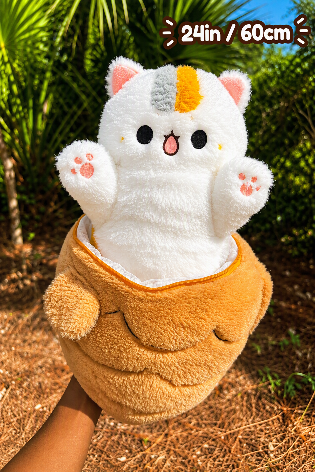 The Kitty Cat