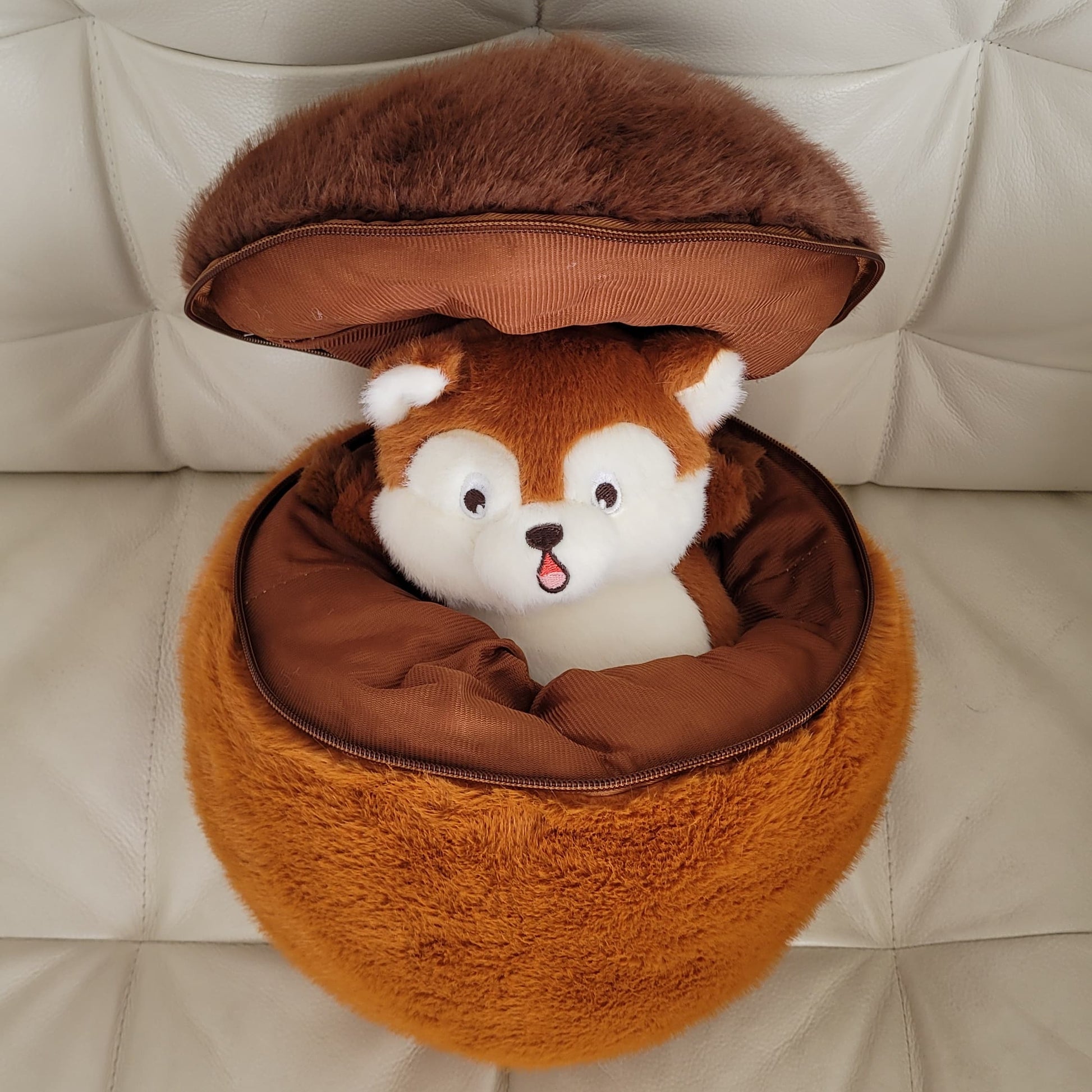 a squirrel plush inside of a nut plush on a couch